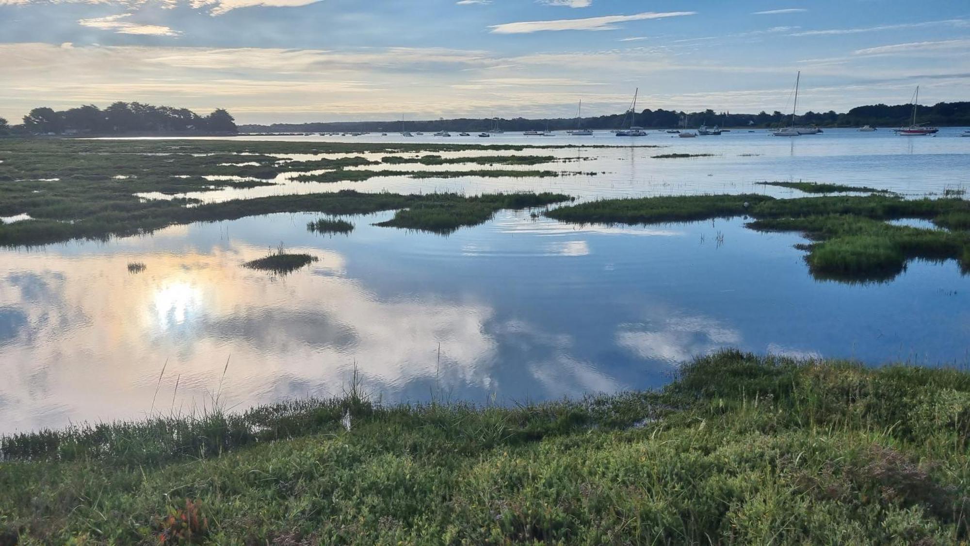 Maison Golfe Du Morbihan - Vue Mer - Plage A 600M - 6 Chambres Séné المظهر الخارجي الصورة